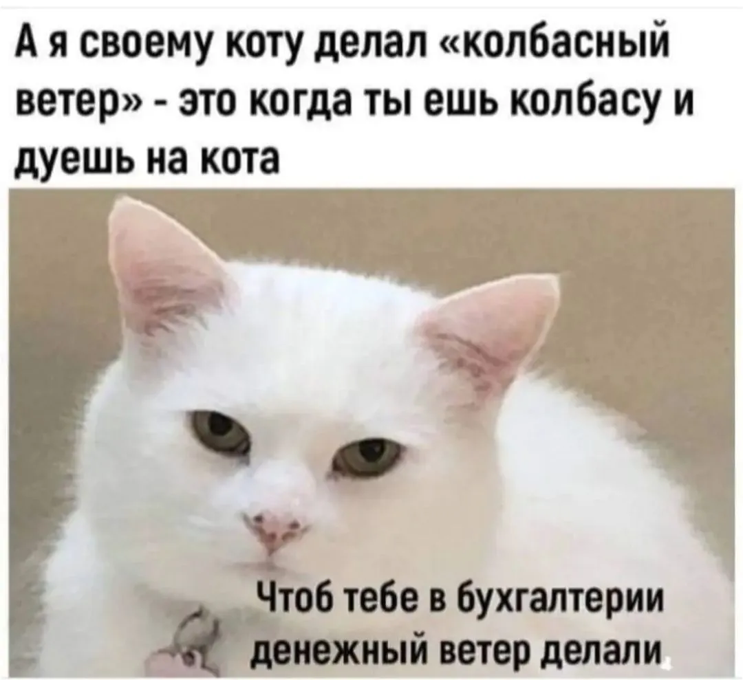 IMG_20240117_082512.webp