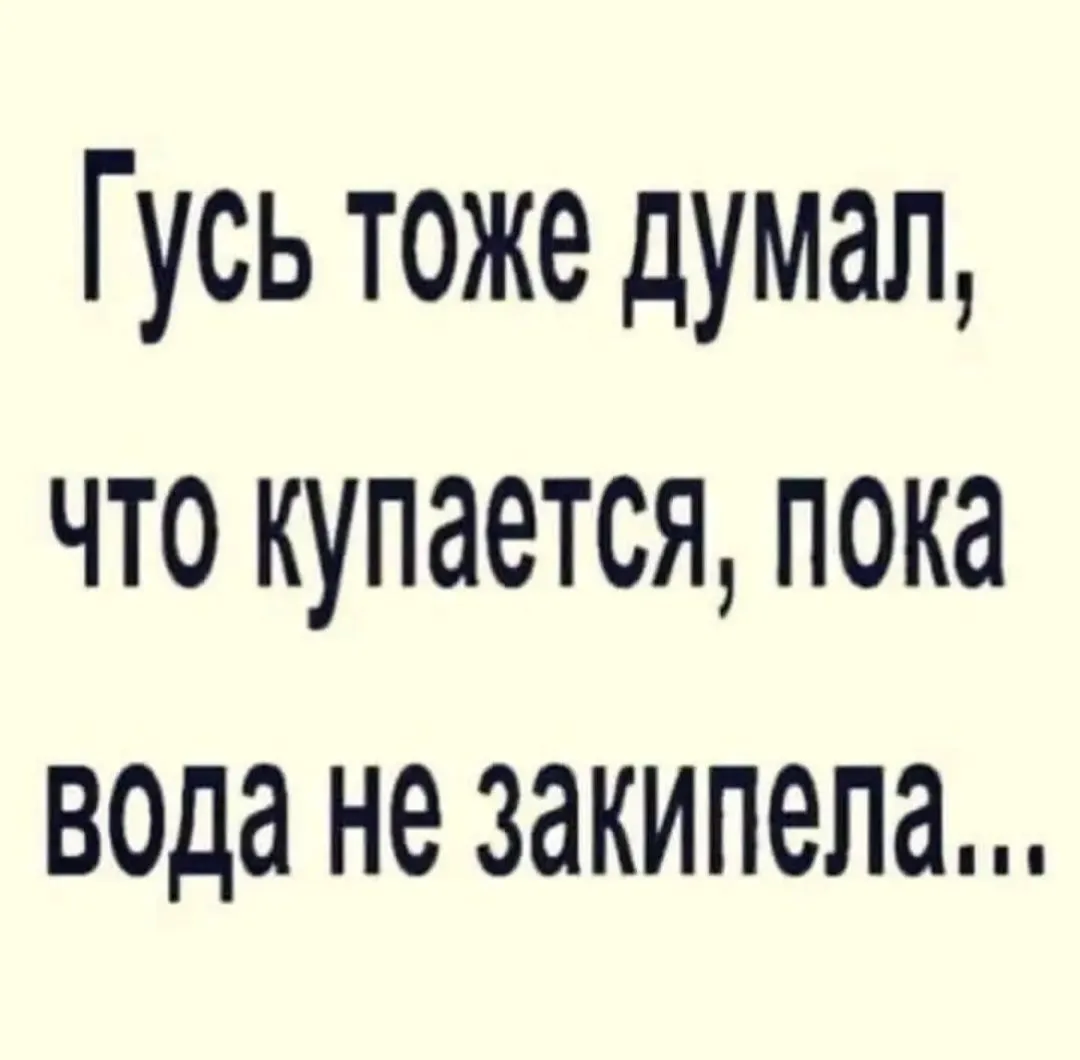 IMG_20240120_095624.webp