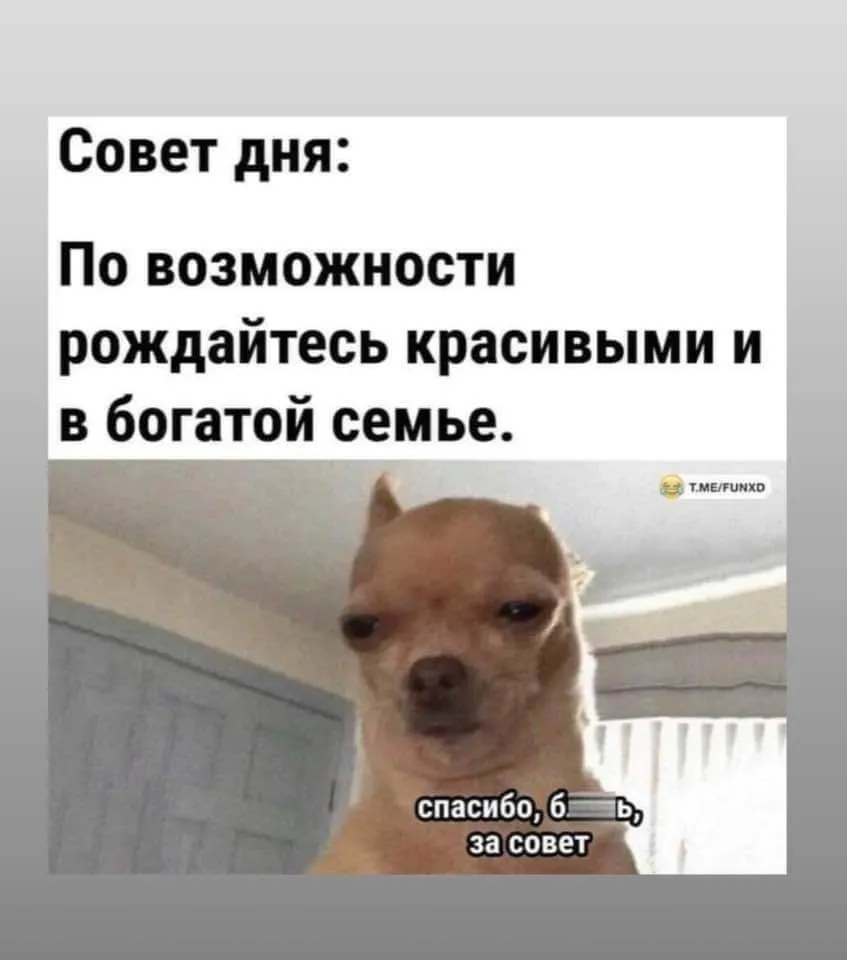 IMG_20240123_063302_128.webp