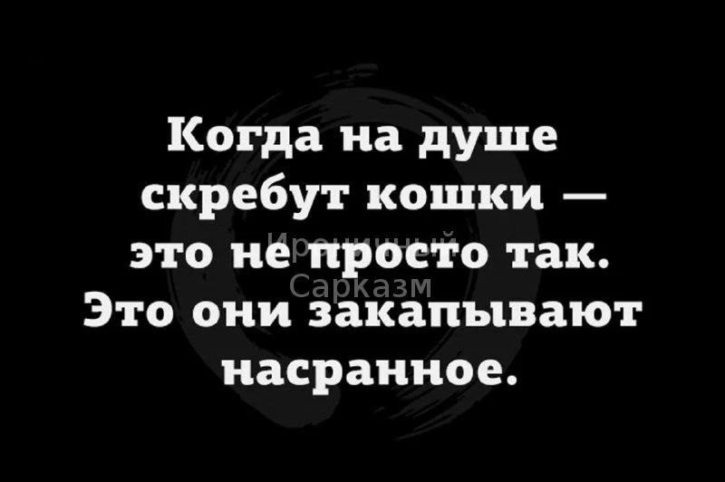 IMG_20240127_185323_581.webp