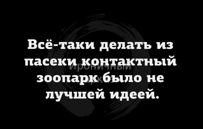 IMG_20240128_181004.webp