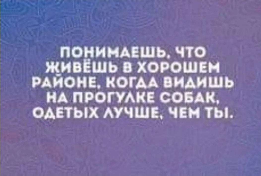 IMG_20240128_212649.webp
