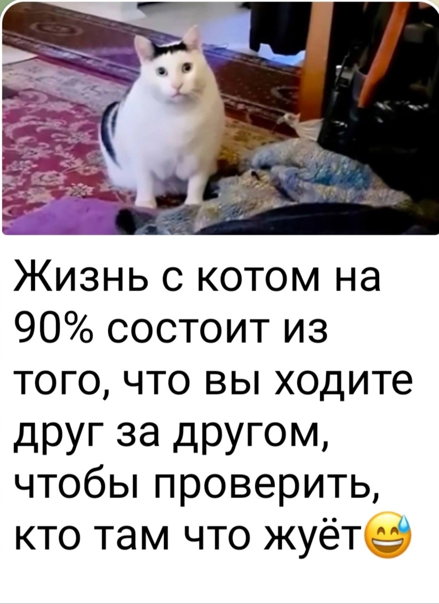IMG_20240130_045234.webp
