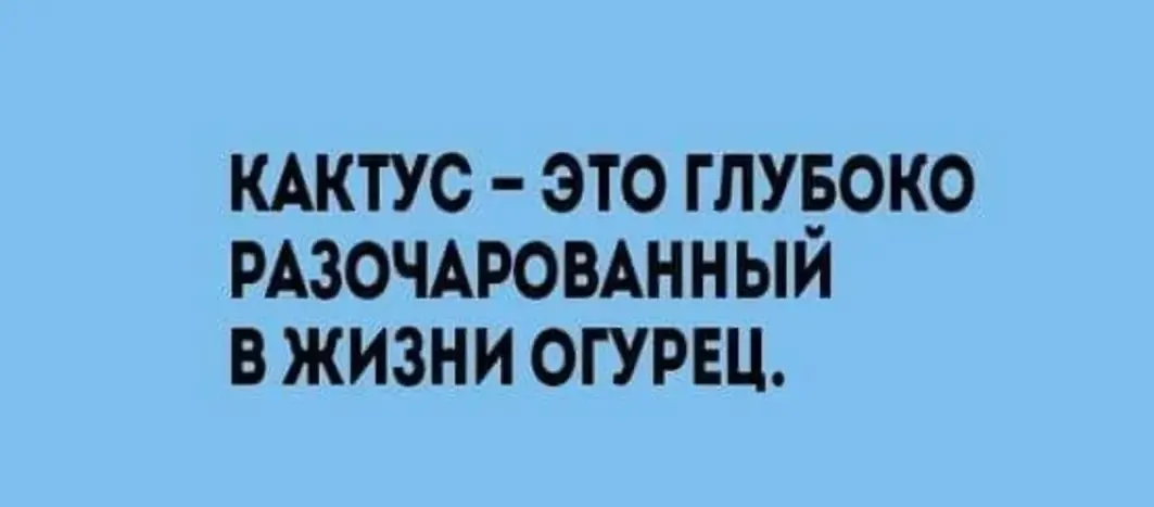 IMG_20240131_183723.webp