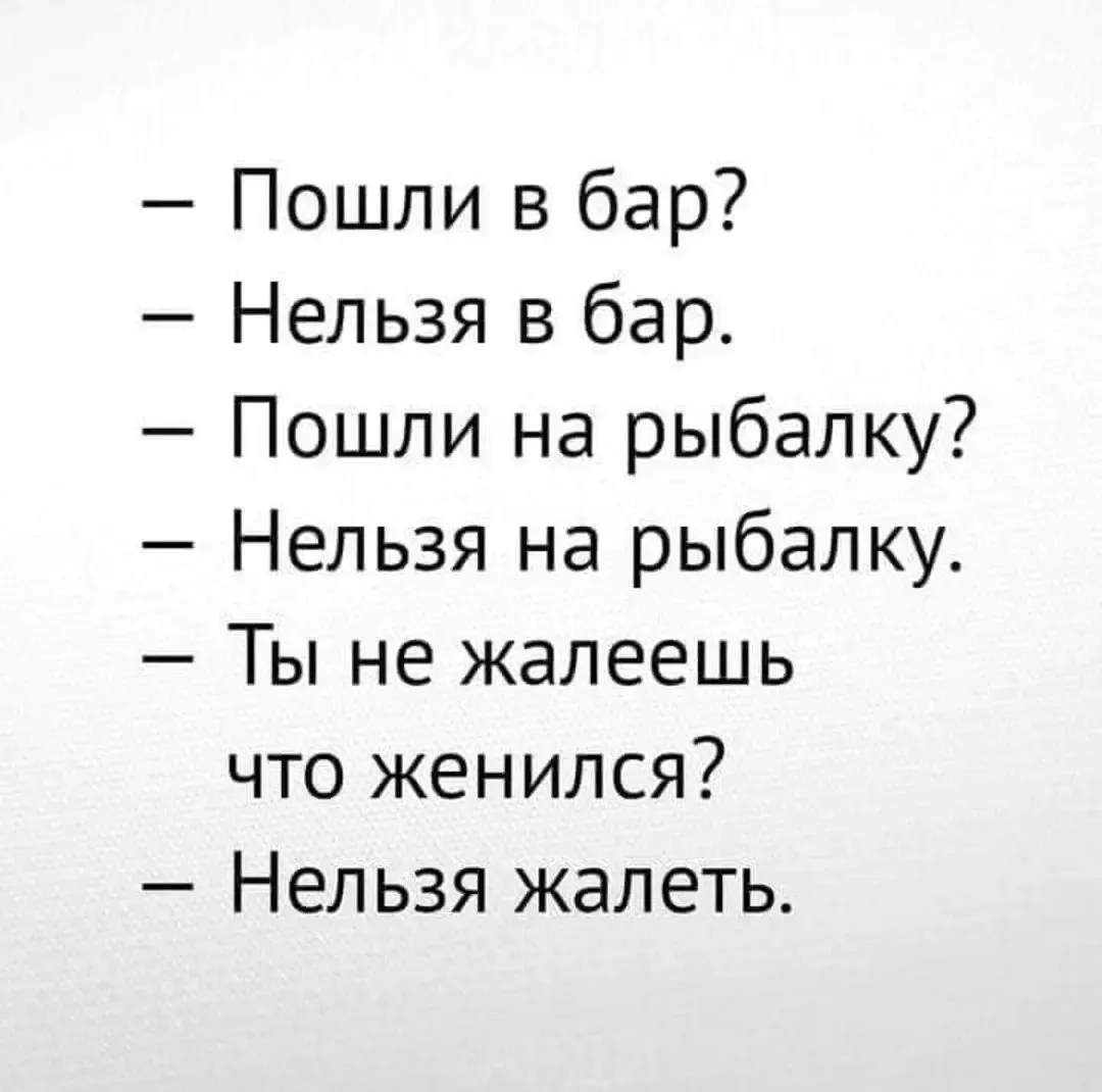 IMG_20240203_073759.webp