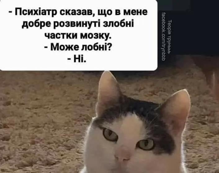 IMG_20240203_193213.webp