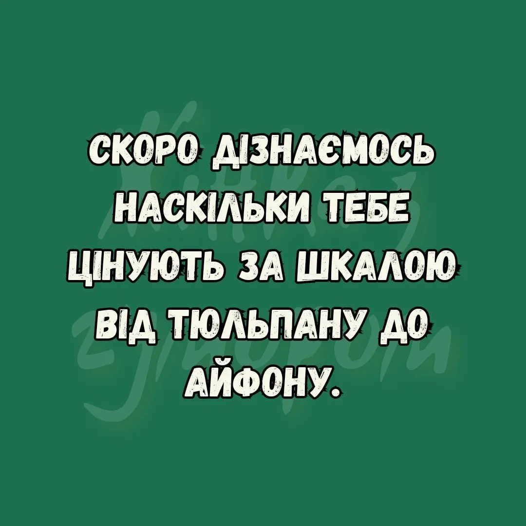 IMG_20240205_133724_227.webp