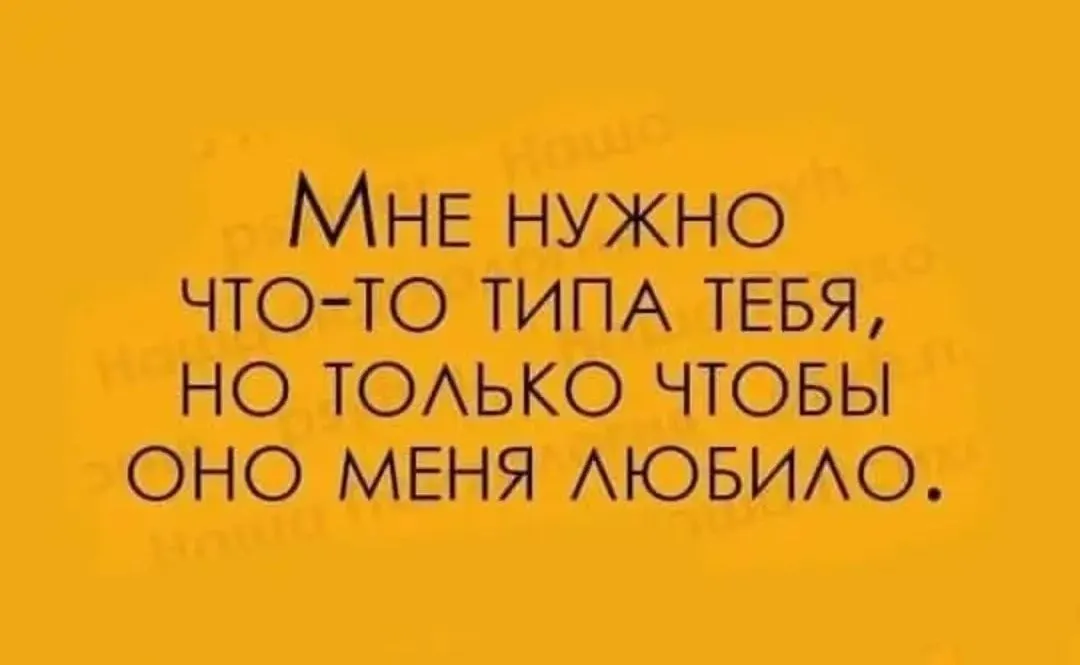 IMG_20240206_041404.webp