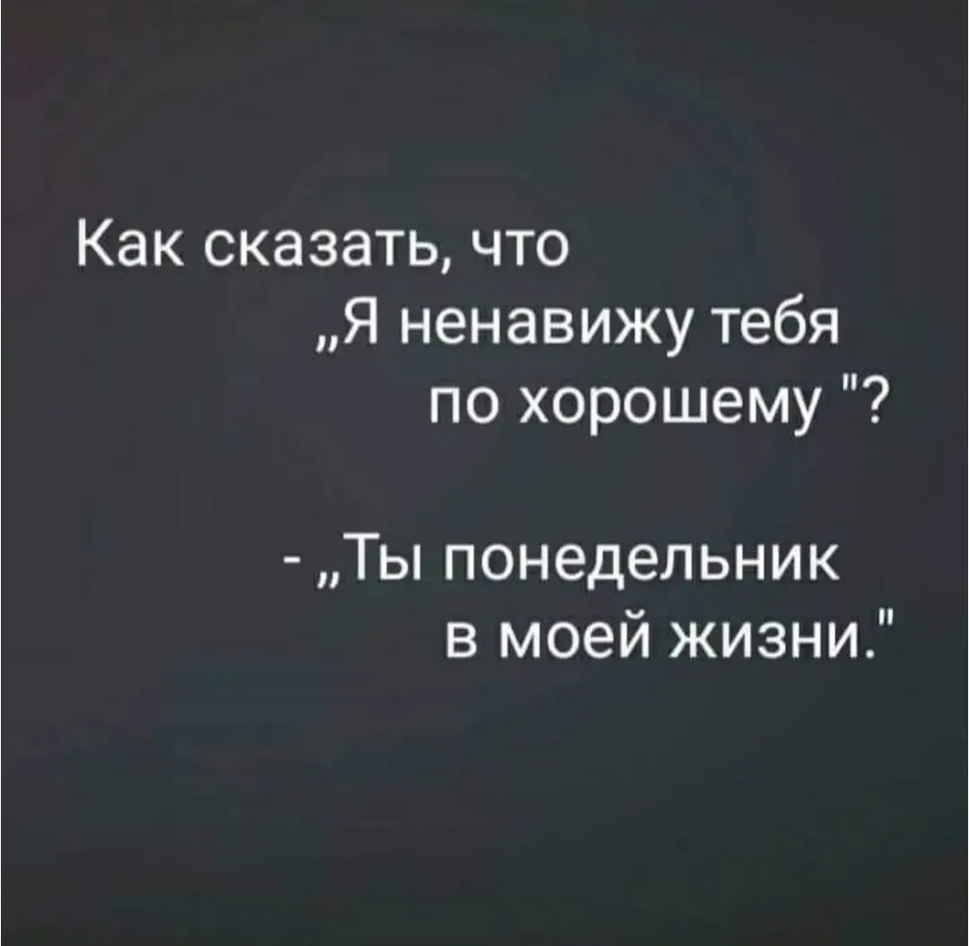 IMG_20240206_161111.webp