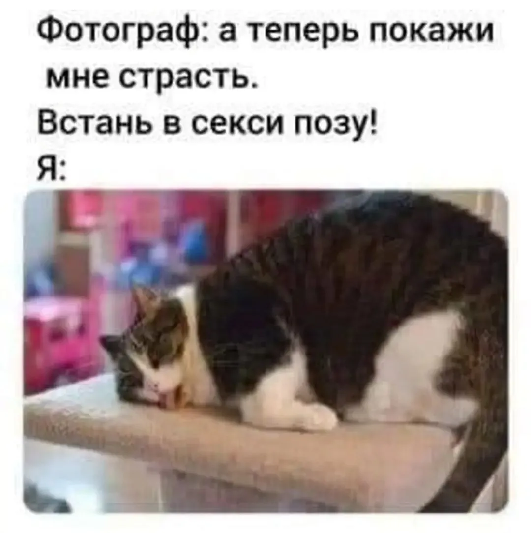 IMG_20240207_060638.webp
