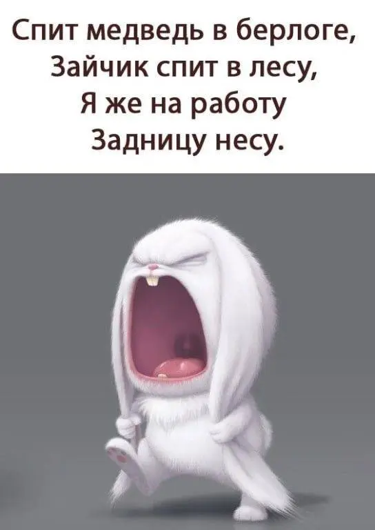 IMG_20240207_093850_817-world66.spcs.bio.webp