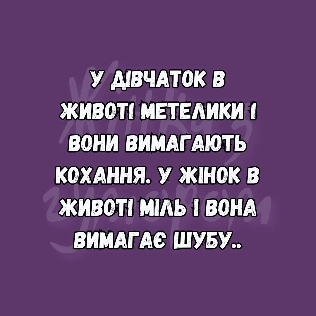 IMG_20240208_104223_830.webp