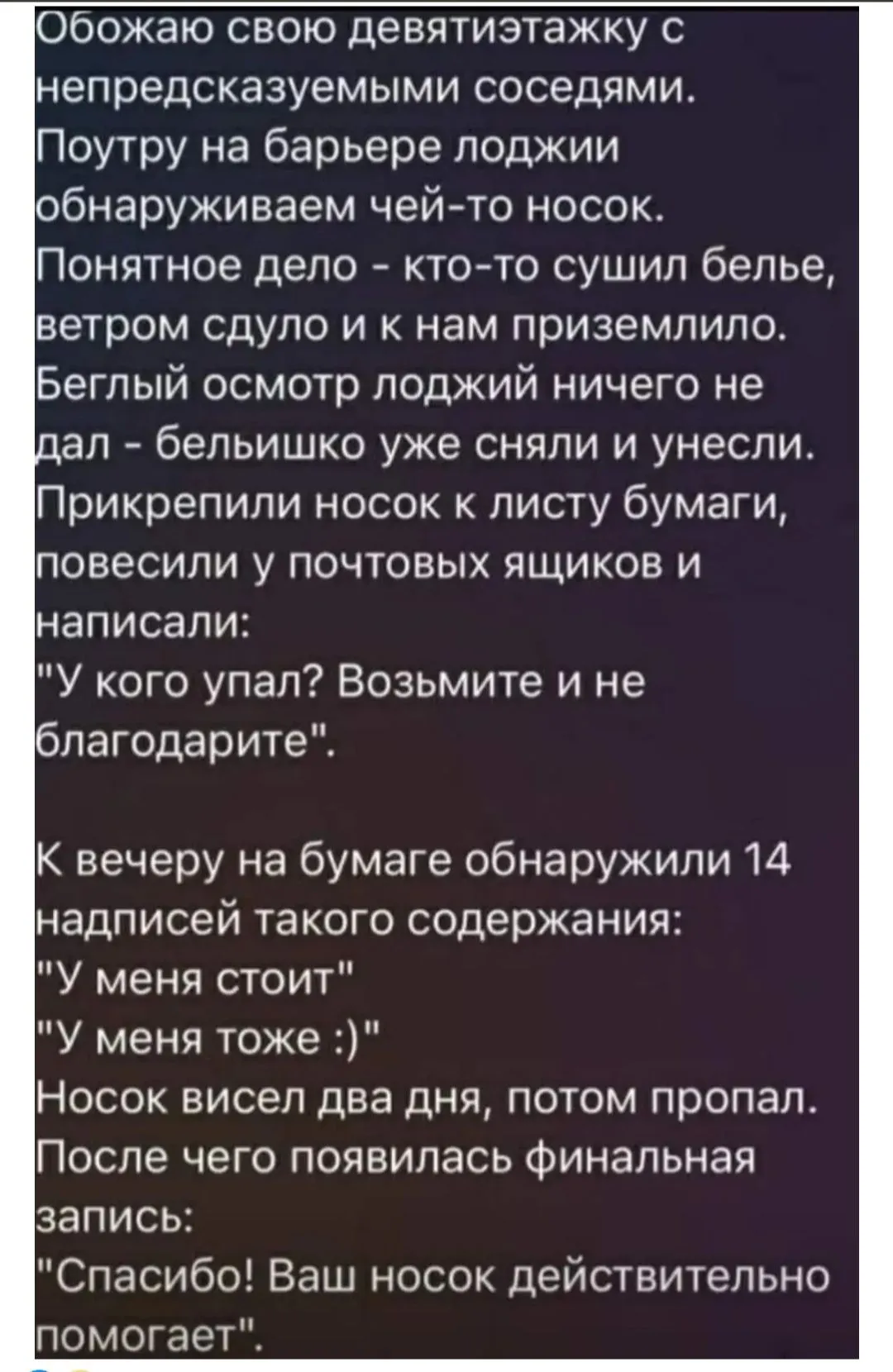 IMG_20240211_115653.webp