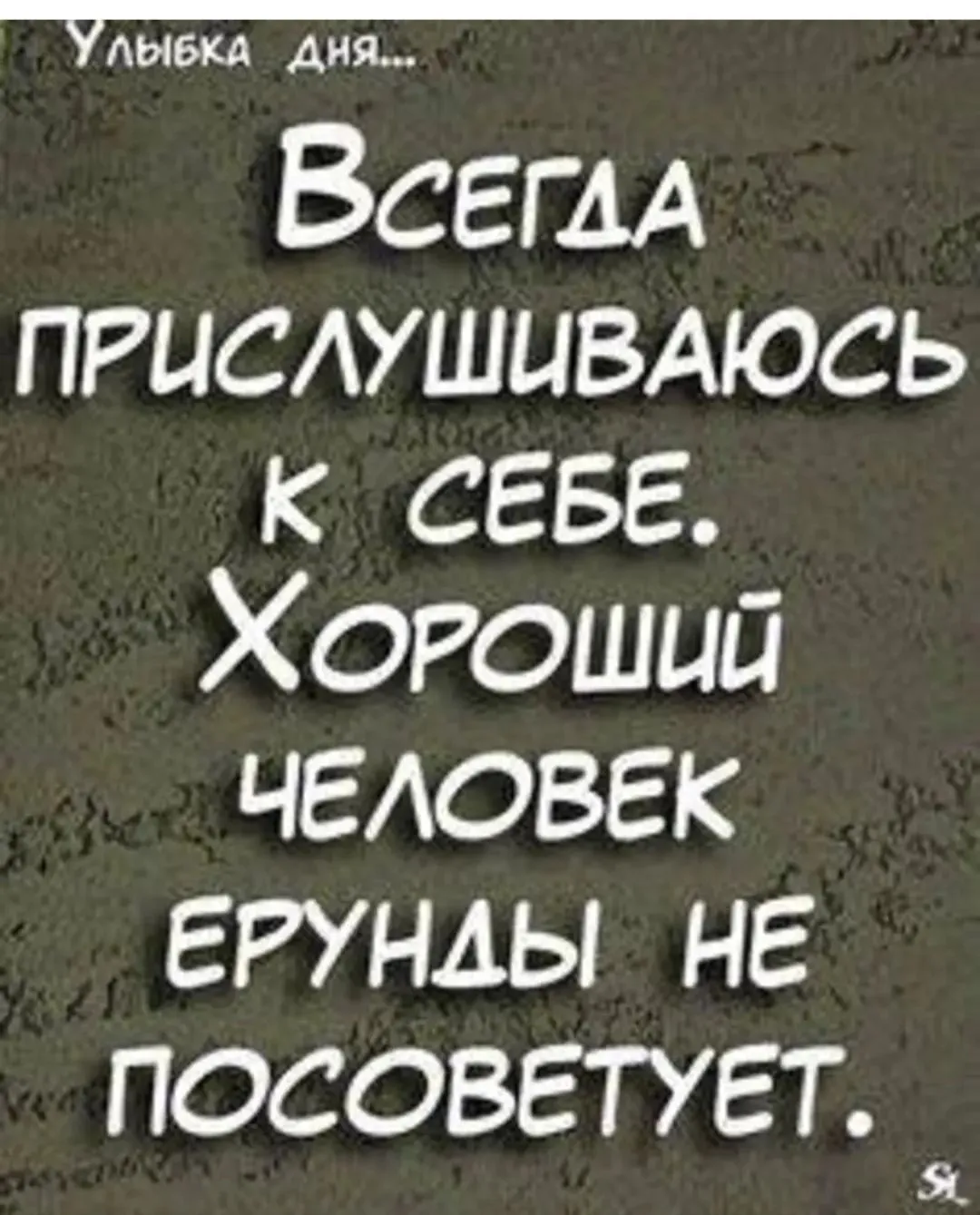 IMG_20240211_182951.webp