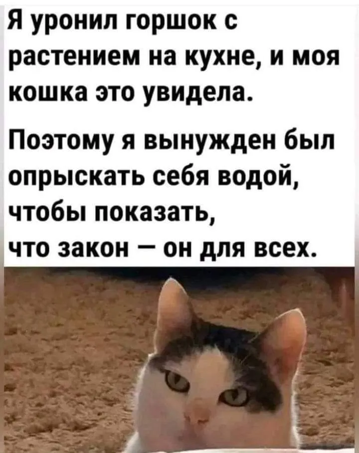 IMG_20240212_083230_839.webp