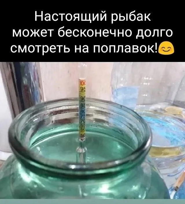 IMG_20240213_084731-world66.spcs.bio.webp
