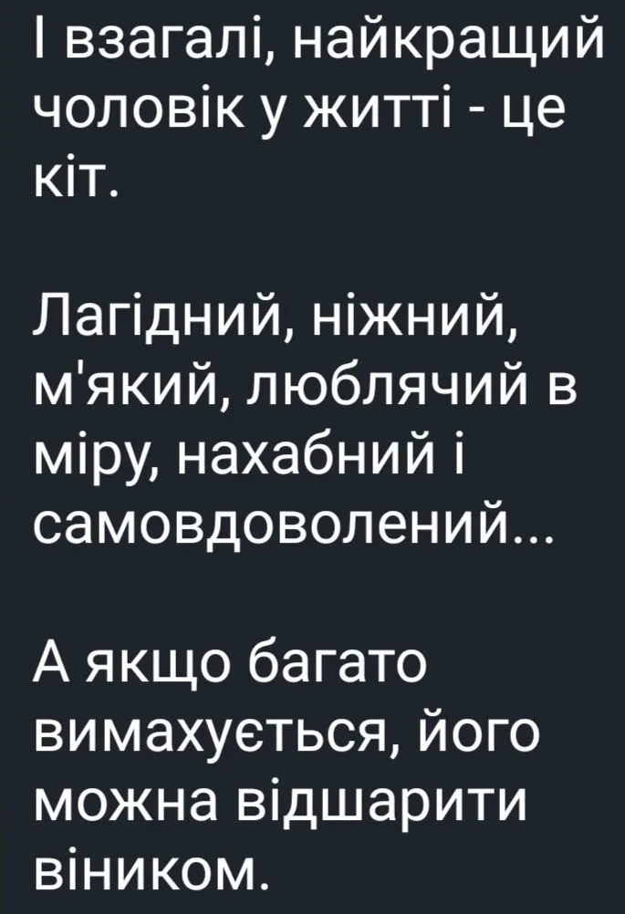 IMG_20240215_172605.webp
