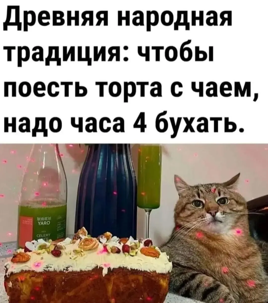 IMG_20240216_124146.webp
