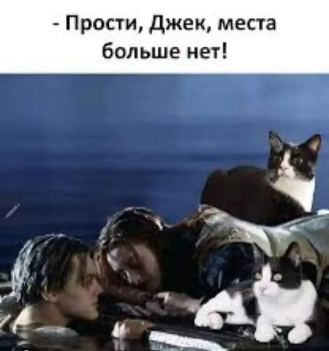 IMG_20240217_083748.webp
