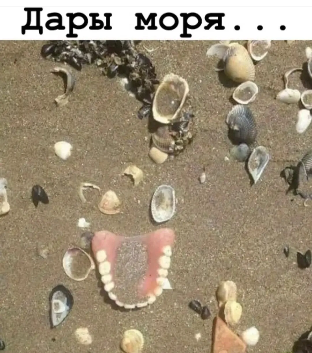 IMG_20240217_093802.webp