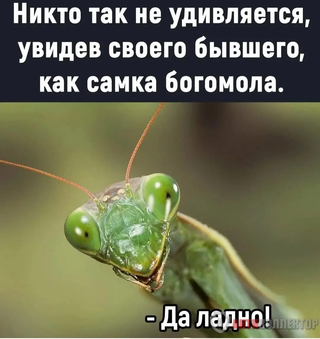 IMG_20240218_220518.webp