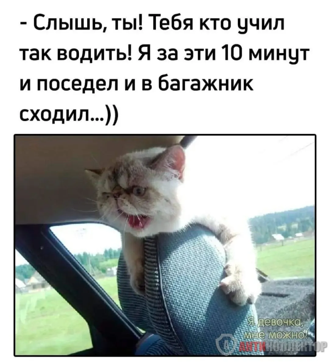 IMG_20240218_220821.webp