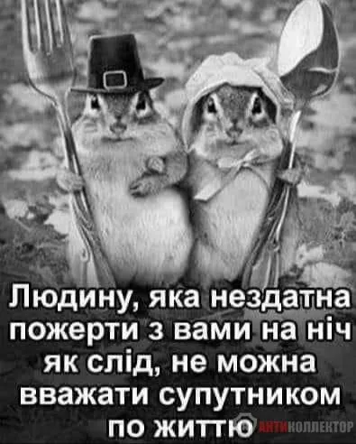 IMG_20240218_220850.webp