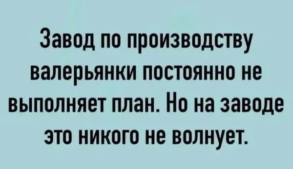 IMG_20240221_133842_743-world68.spcs.bio.webp