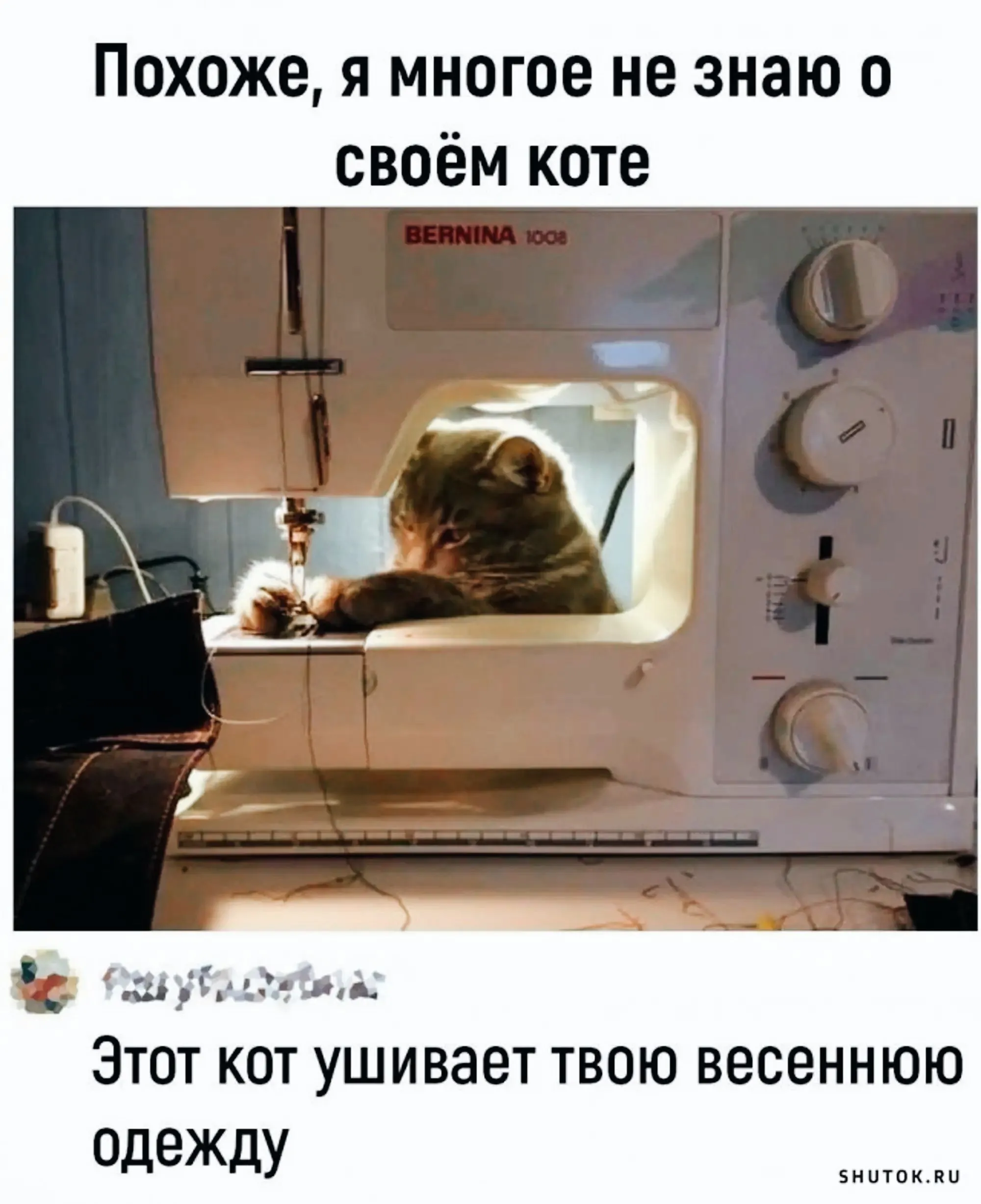 IMG_20240226_045519-world68.spcs.bio.webp
