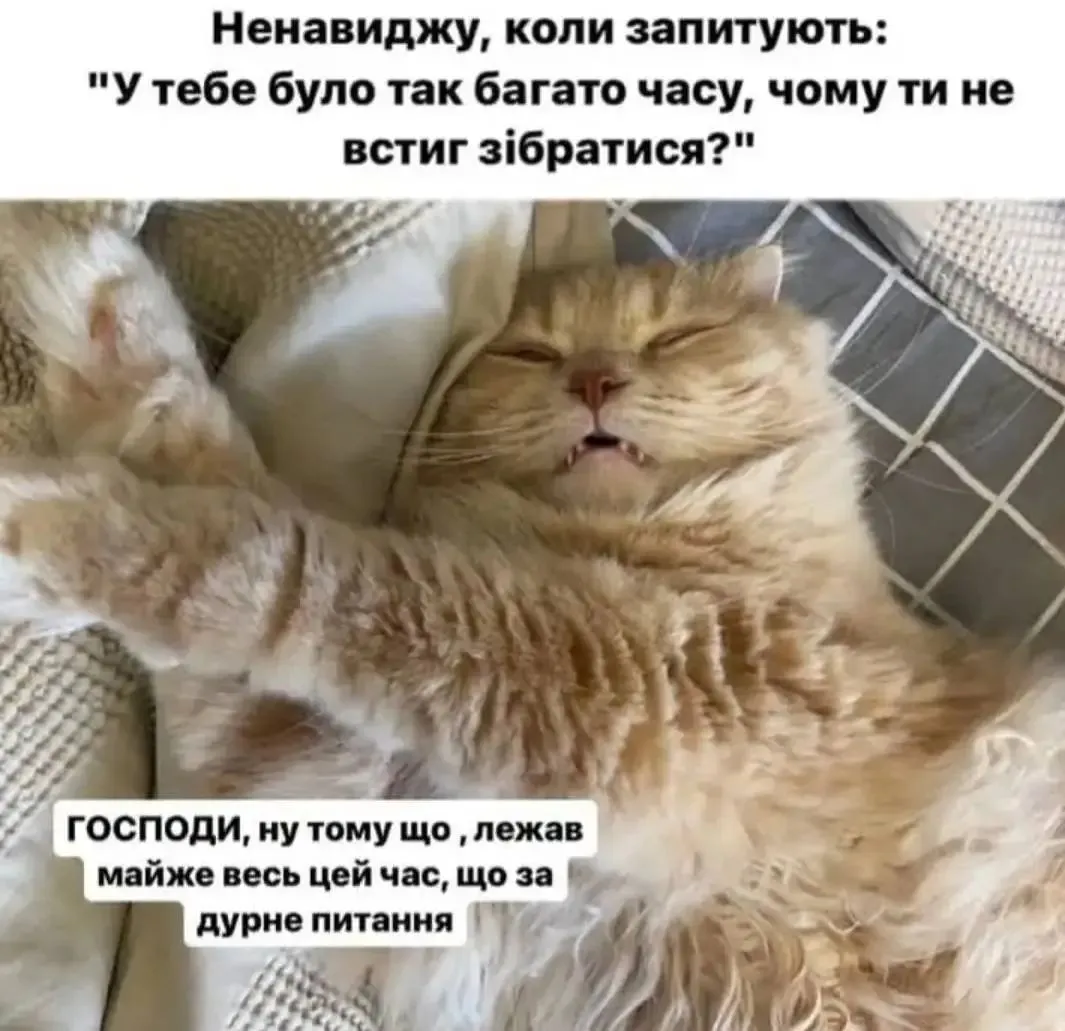 IMG_20240229_093520.webp