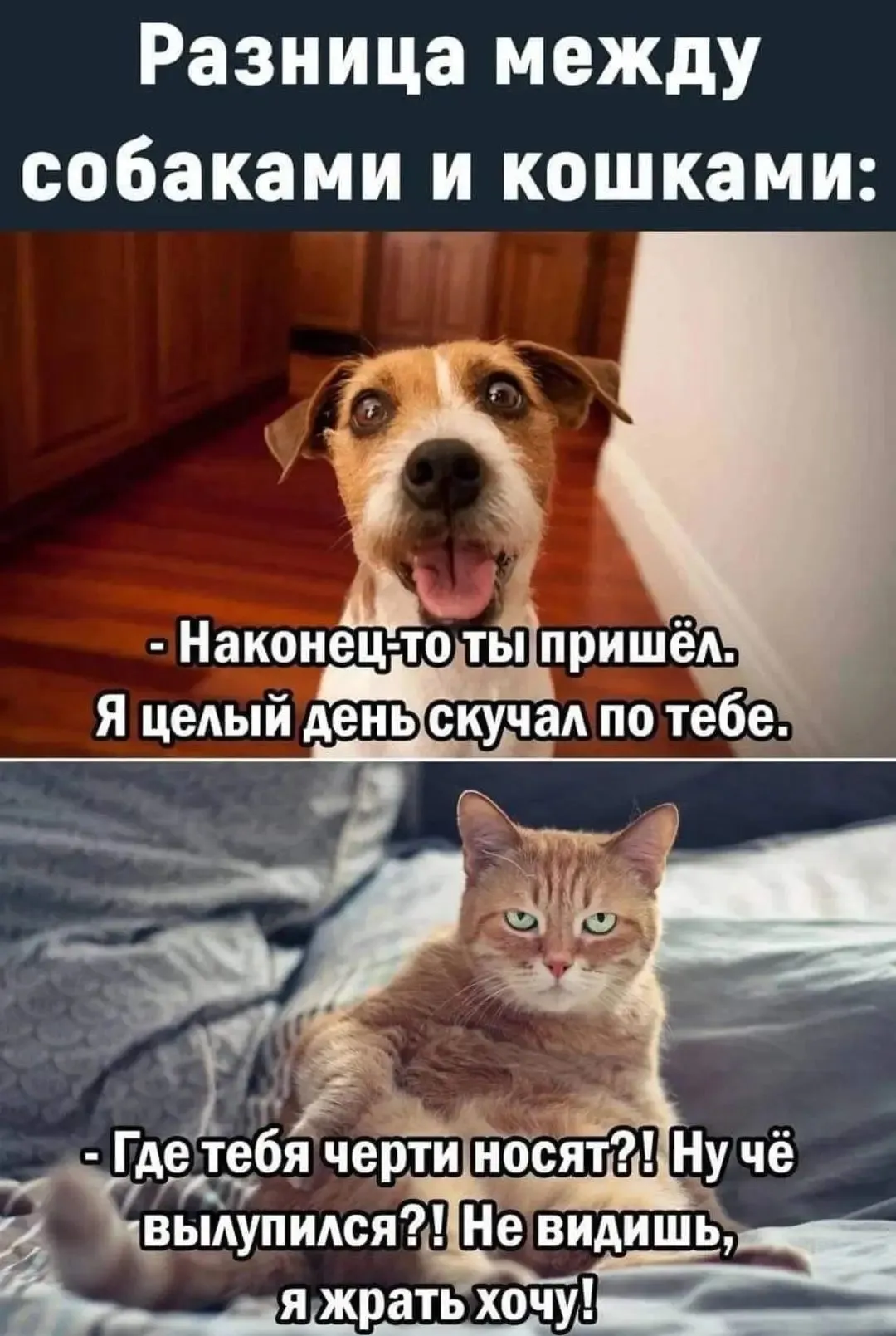 IMG_20240301_211917.webp