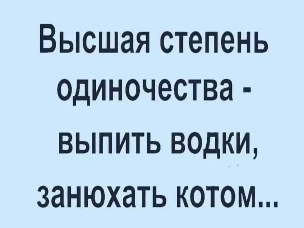 IMG_20240301_212532.webp
