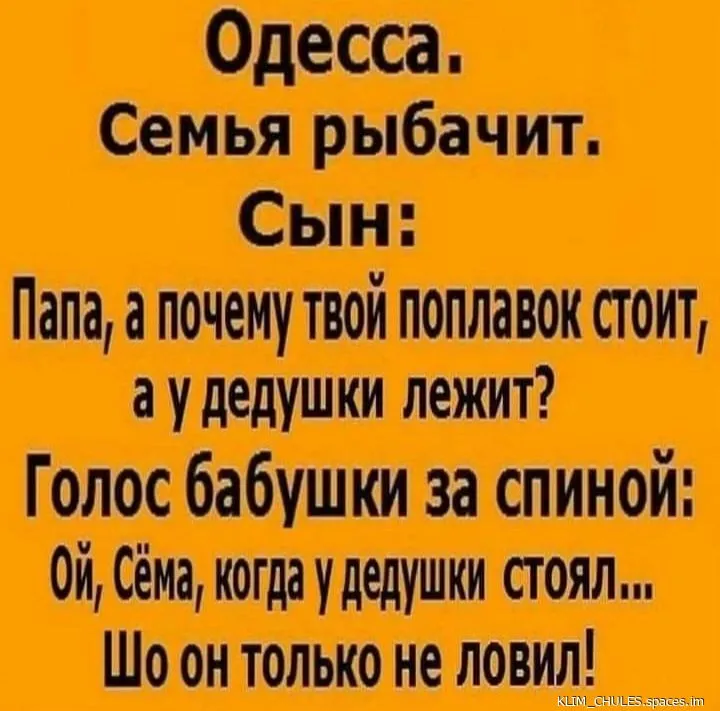 IMG_20240305_105131--world69.spcs.bio.webp