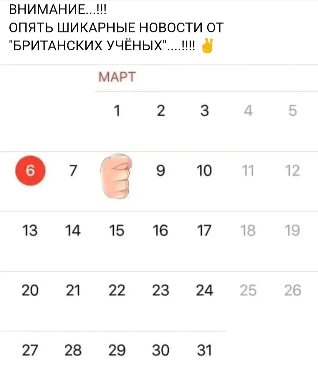 IMG_20240305_172414.webp