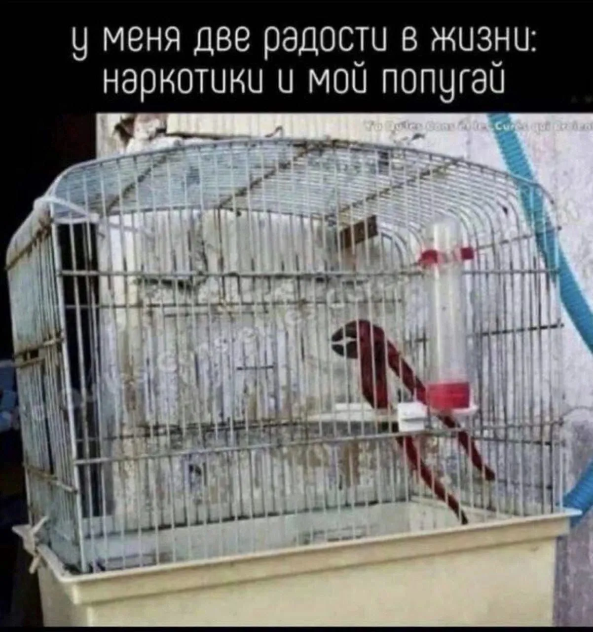 IMG_20240306_073412_294-world69.spcs.bio.webp