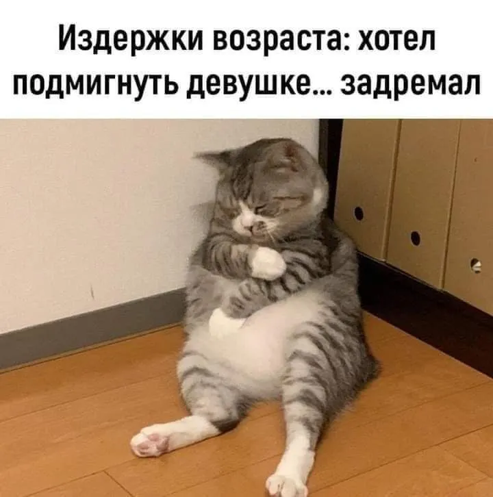 IMG_20240306_163036_238.webp