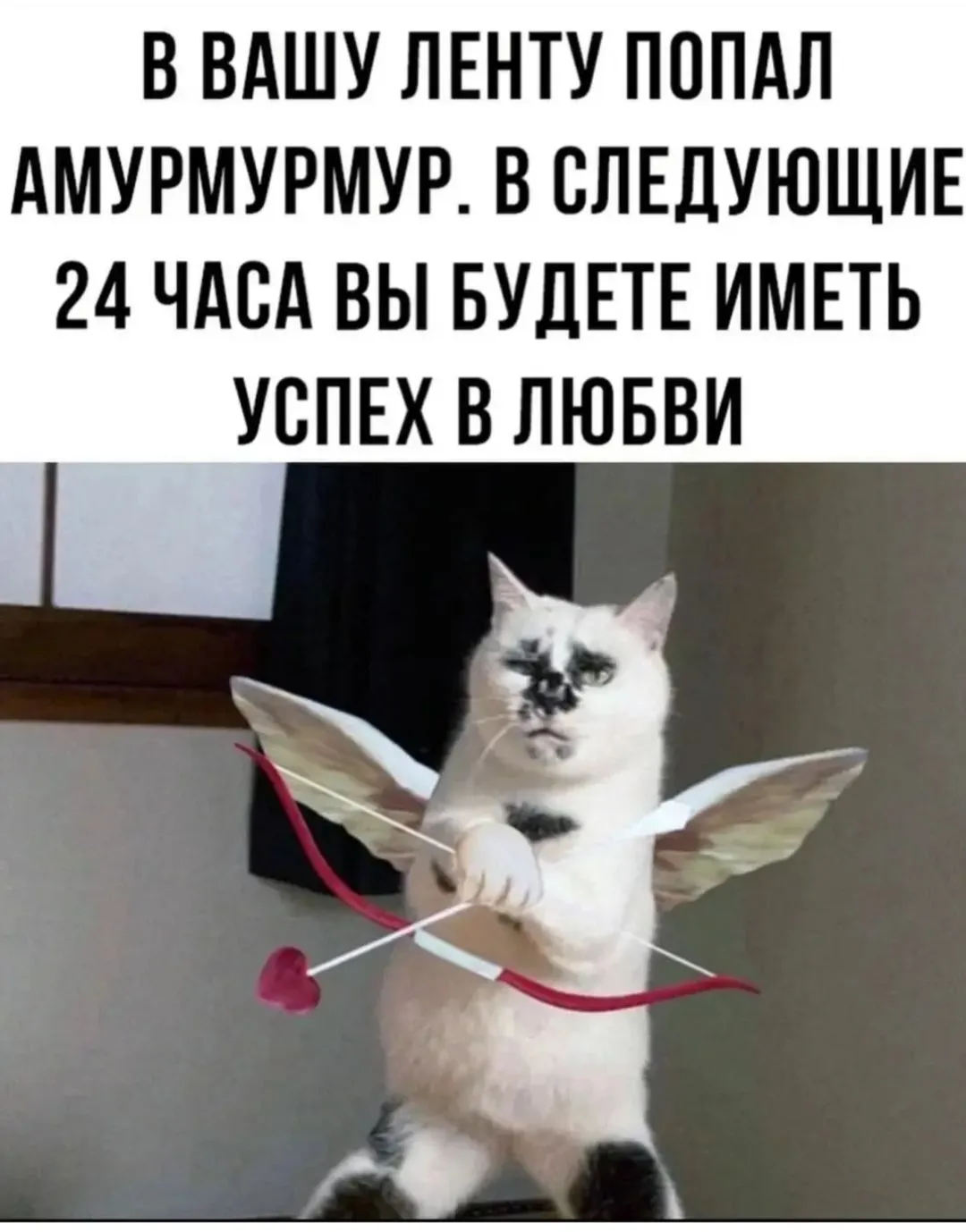 IMG_20240307_212944.webp