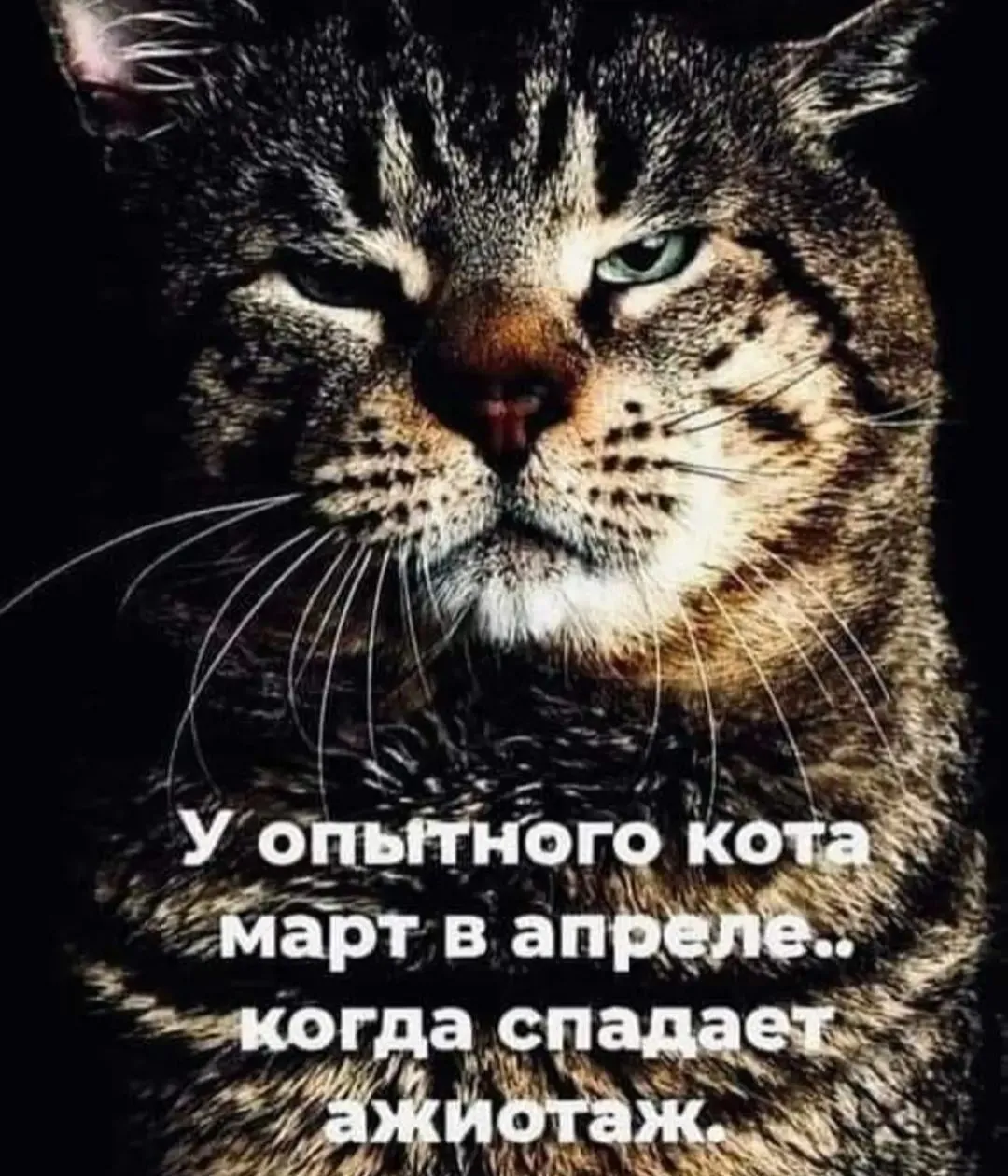 IMG_20240308_063343.webp