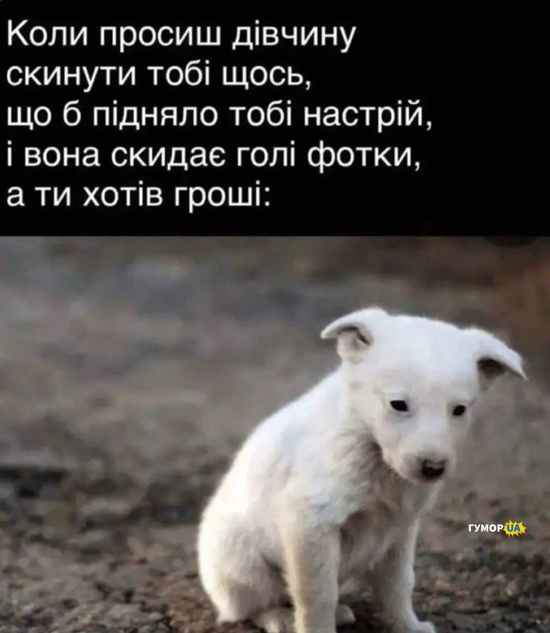 IMG_20240308_162935_890.webp