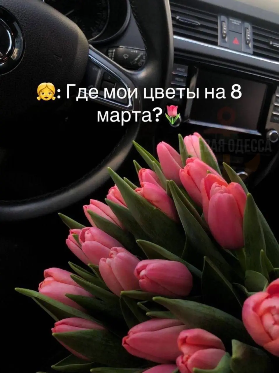 IMG_20240308_200517_353.webp