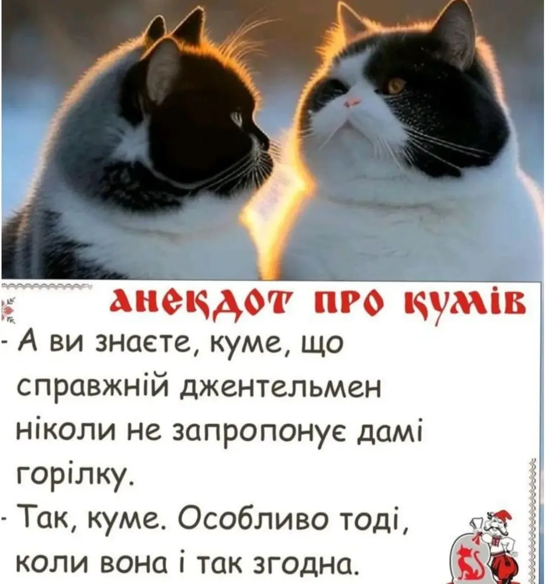 IMG_20240312_072417.webp