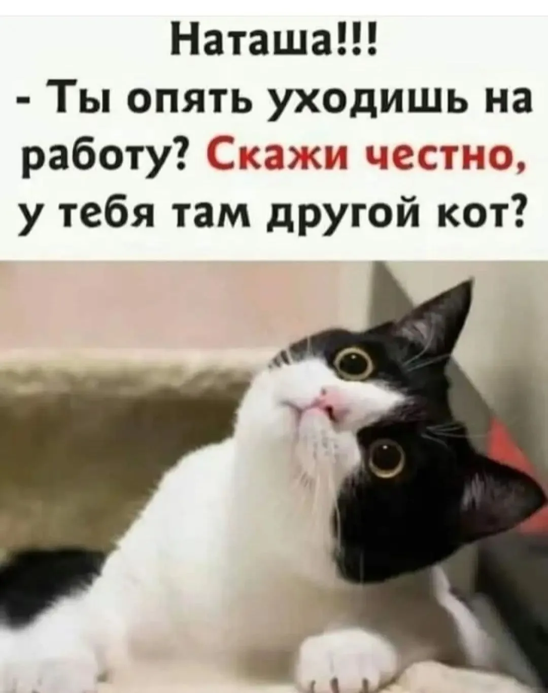 IMG_20240313_091441.webp