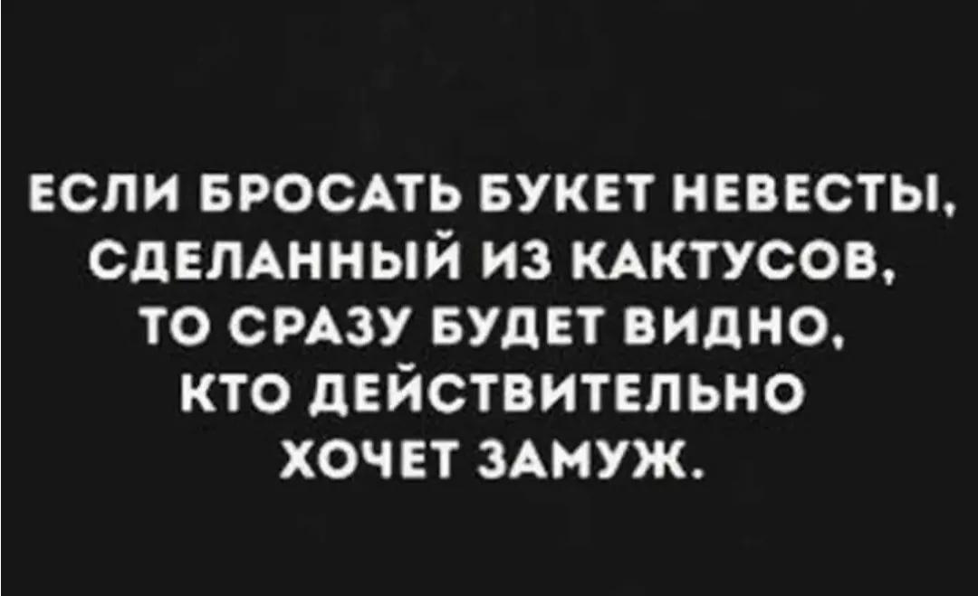 IMG_20240313_094006.webp