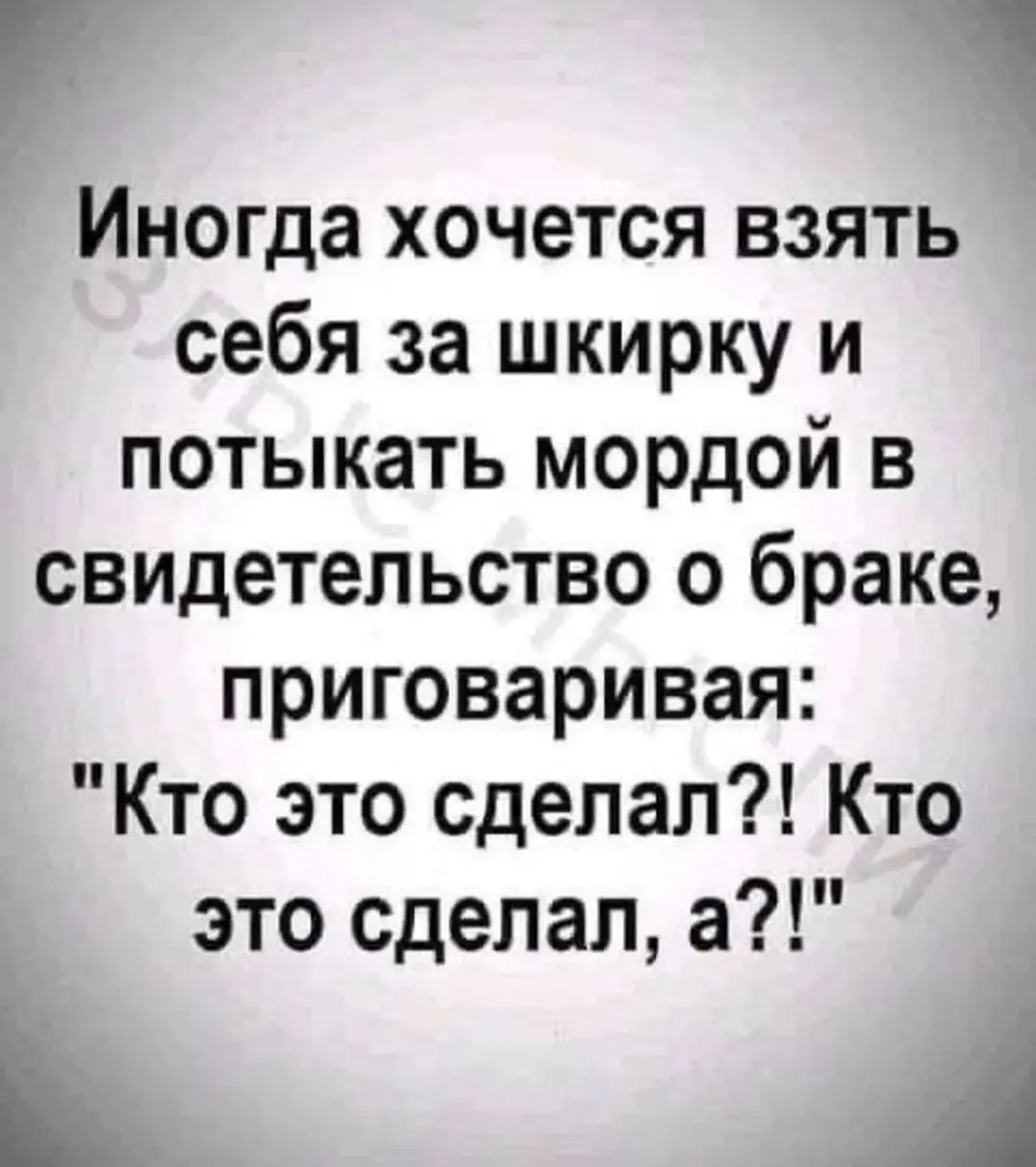 IMG_20240313_184716.webp