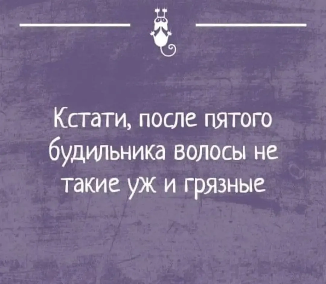 IMG_20240317_043342.webp