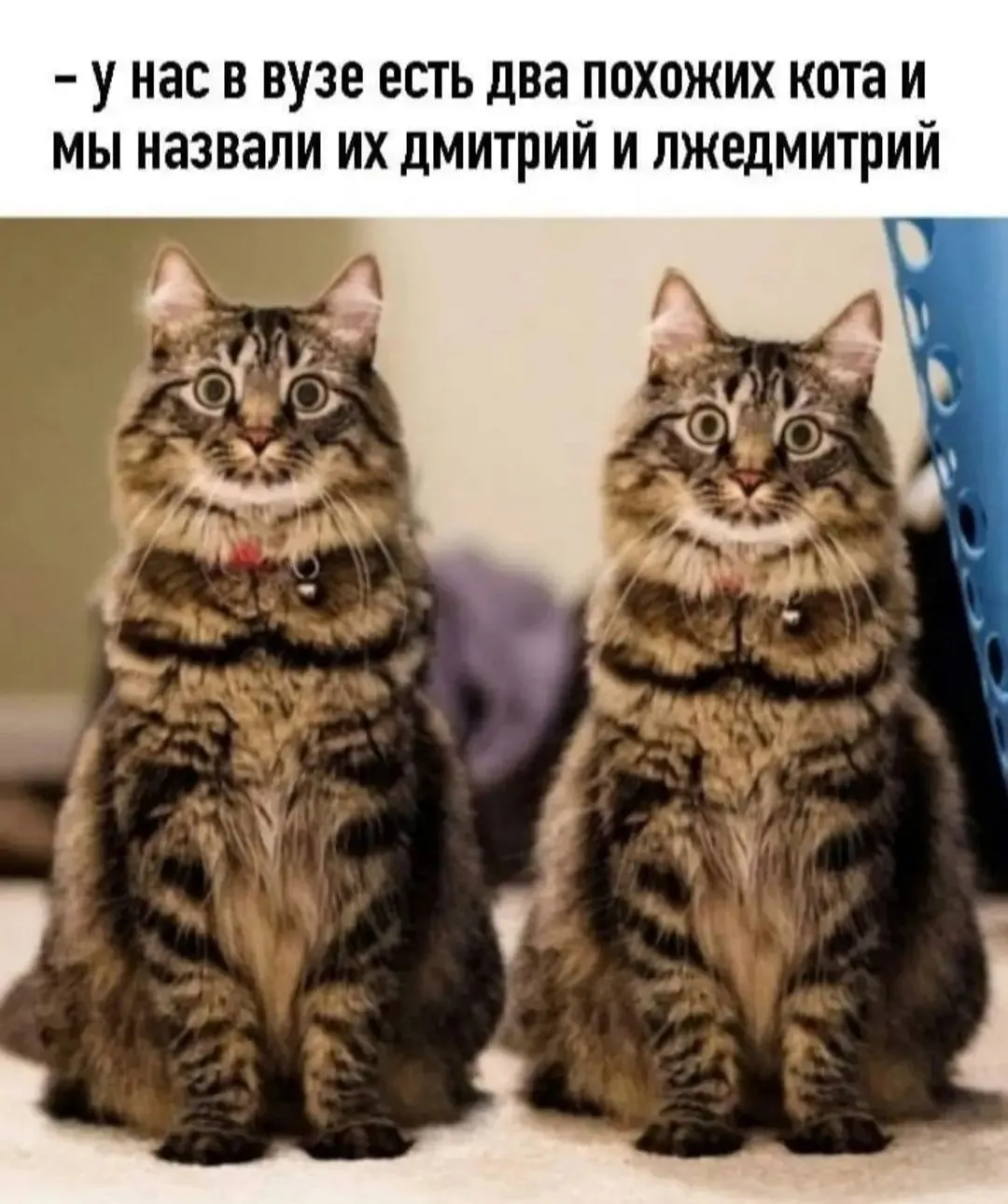 IMG_20240322_120850.webp