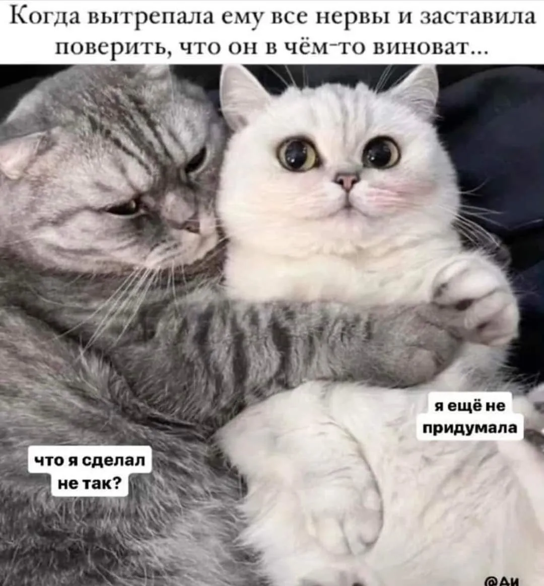 IMG_20240323_091756.webp