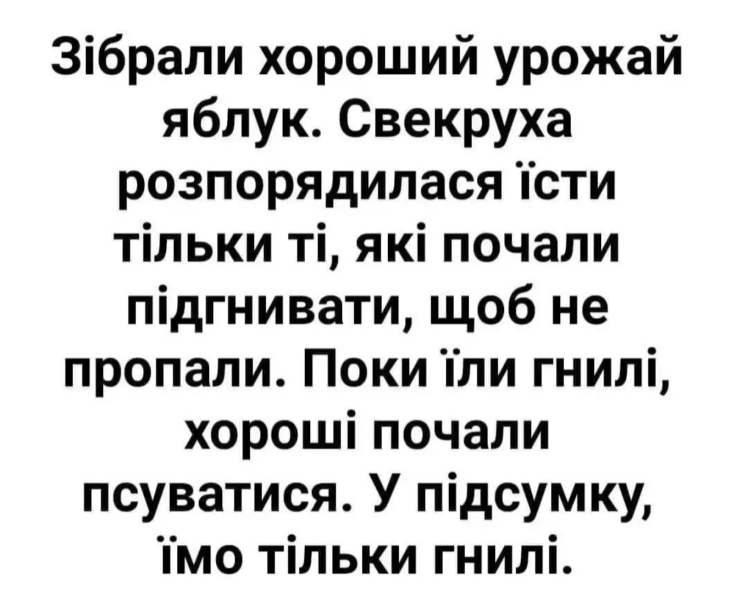IMG_20240324_214009.webp