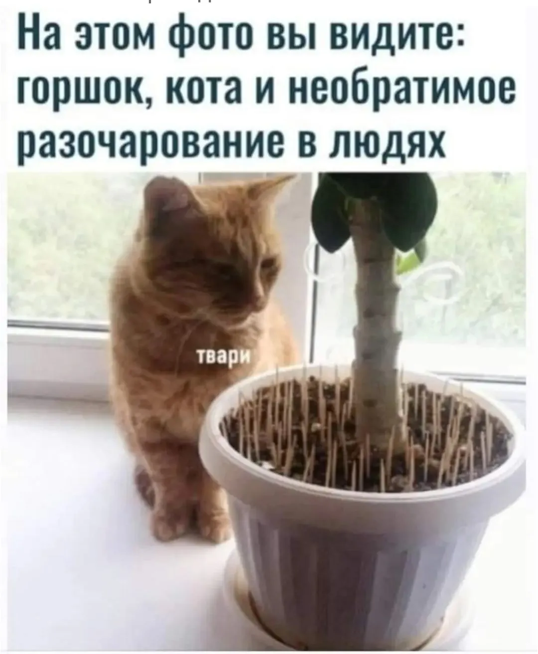 IMG_20240327_033821.webp
