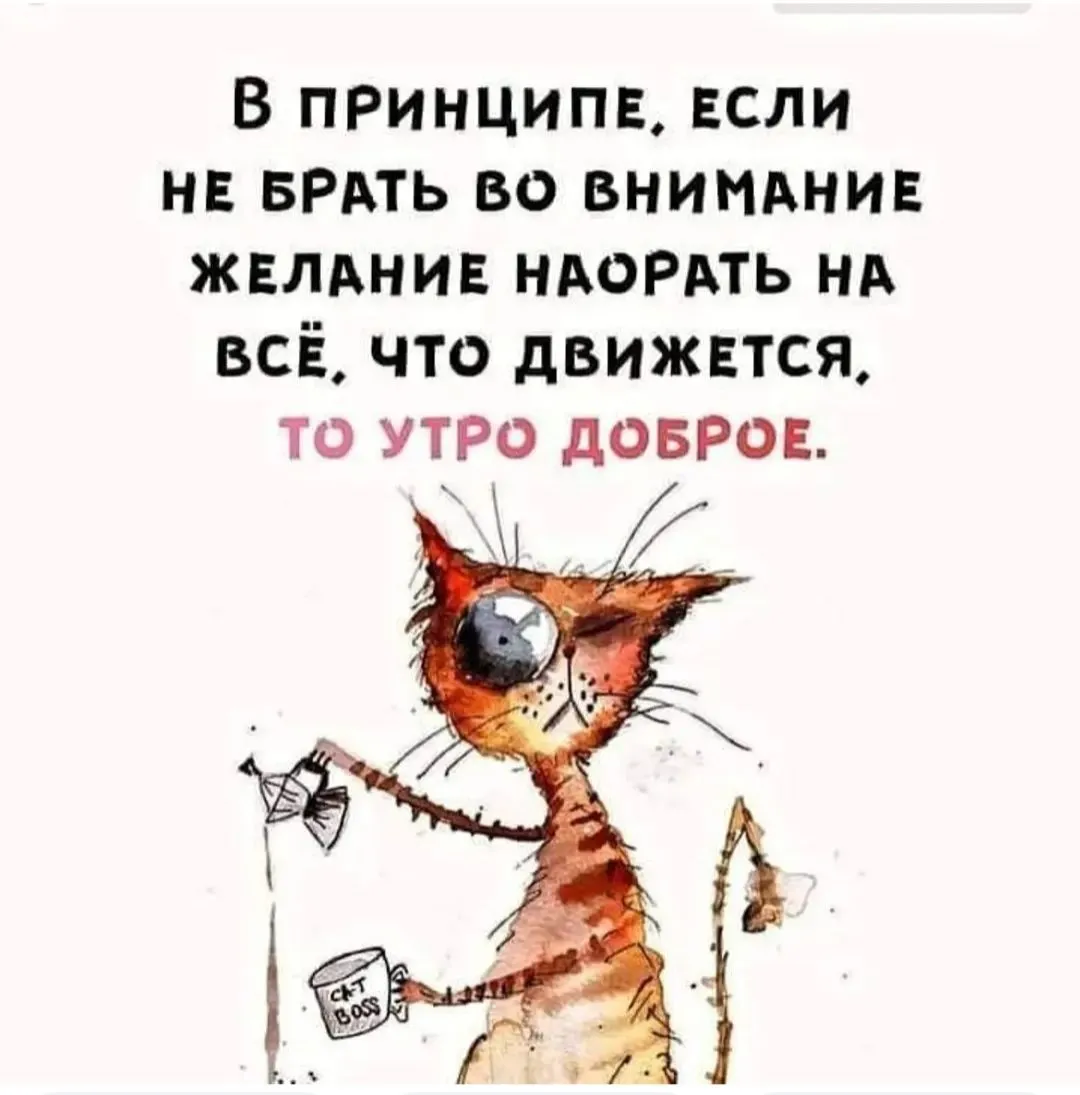 IMG_20240328_045245.webp